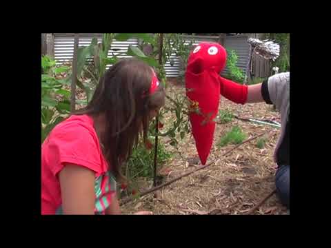 Seg 1 of 3 Season 1 Episode 1 With Gabriel Gate' smoothies and brucetta