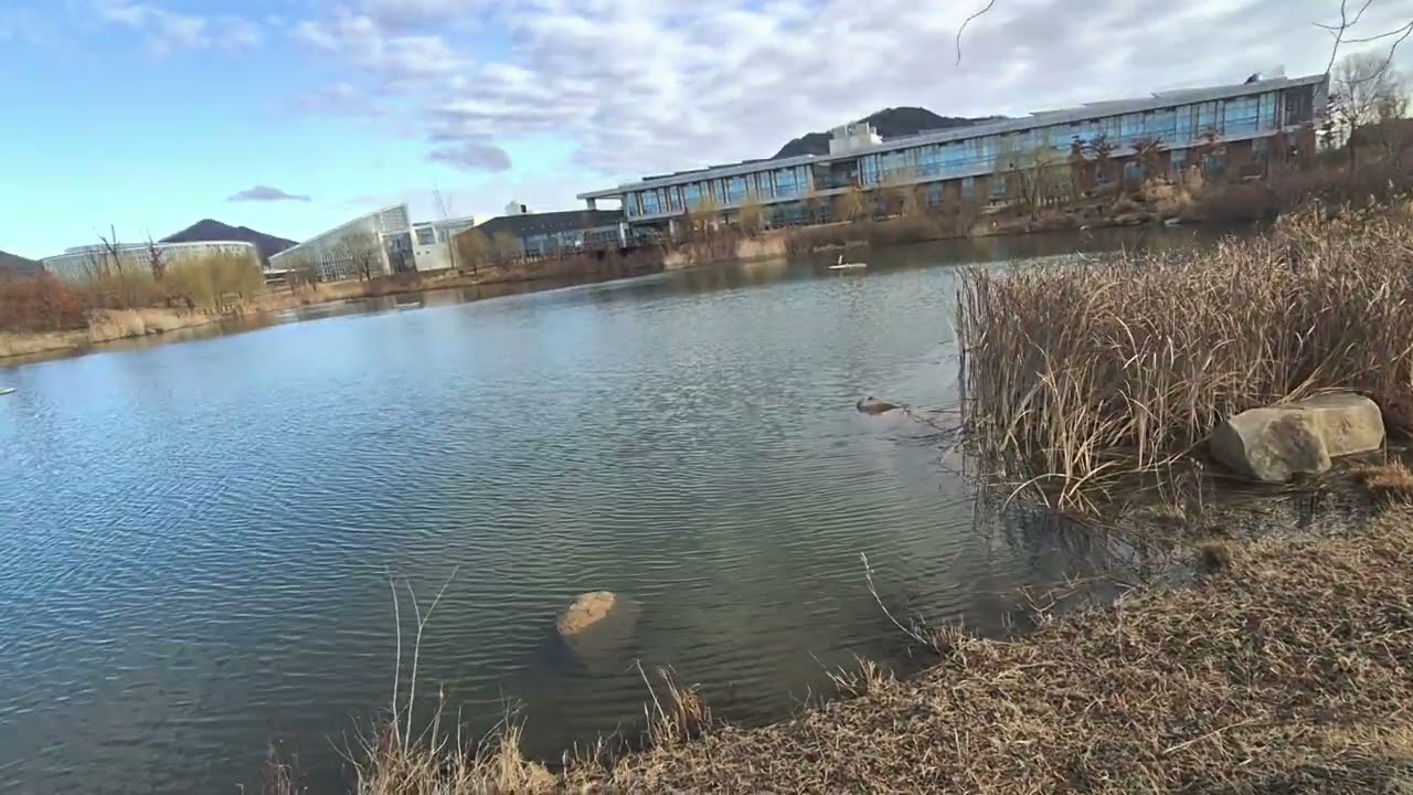 생태유아교육의 특성 #생태유아교육 #생명사상 #생태철학#동학#천도교#원불교#정역사상##전통사상