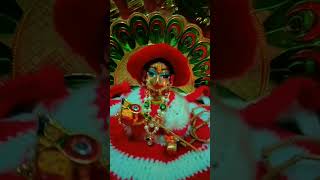 teri murli ki dhun sunke mein barsane se aai hushortvideo laddugopal youtubeshorts