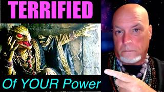 Reptilian Elites TERRIFIED Of Your POWER - I Ching Reading: How Starseeds Effect Parasites