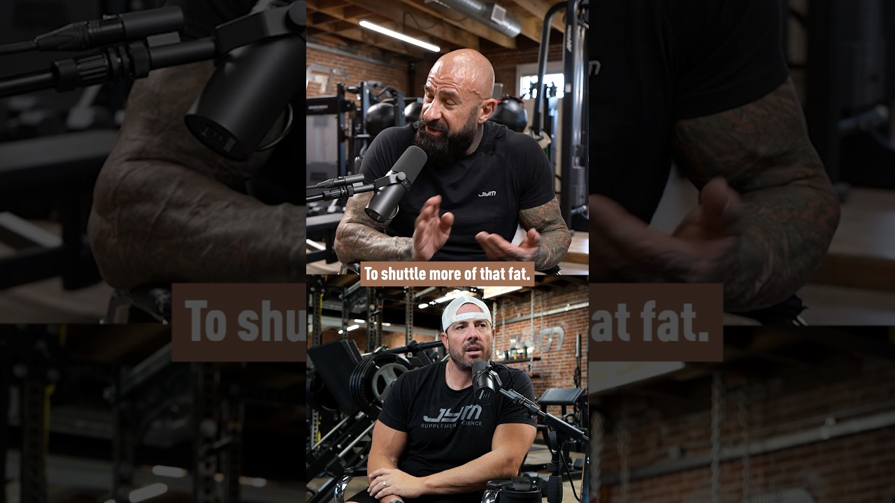l carnitine high carb meal jim stoppani Low Carbs? How L-Carnitine Boosts Fat Burning | Dr. Dark Skin