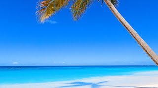 The Perfect Tropical Beach