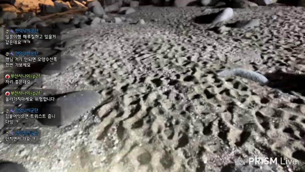 불금 밤볼락 닥터~리!!