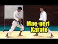Karate How To Hit Mae Geri Front Kick From Any Distance Tatsuya Naka