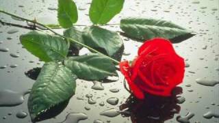 Olmaz Sana Kalpten Sitemim Her Ne Dersem Dilimden.wmv Resimi