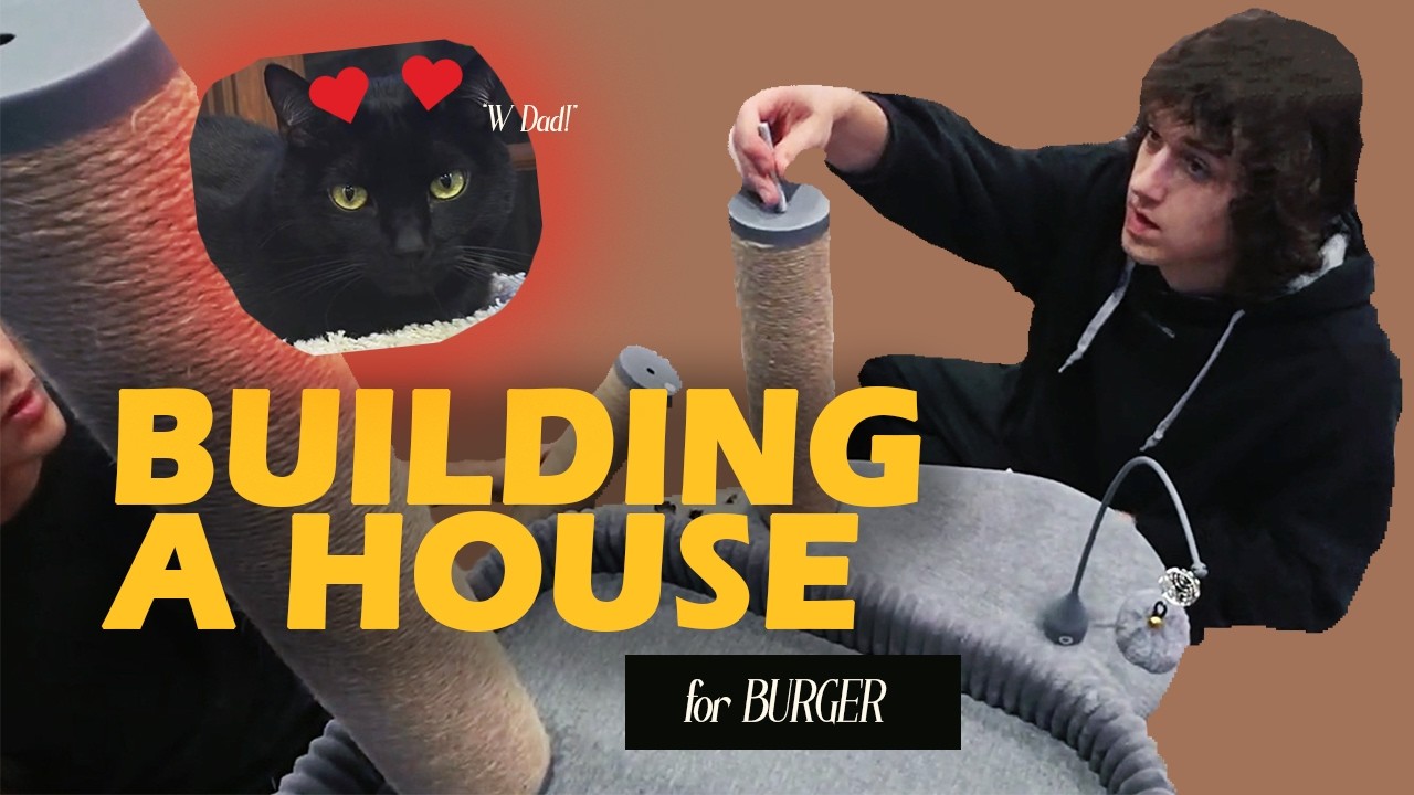 Bepsy can build anything 