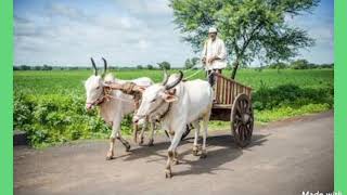 Oki Garial Bhai By Abbas Uddin Ahmed