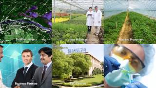 Guar Global - Corporate Video