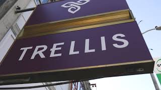 Introducing Trellis