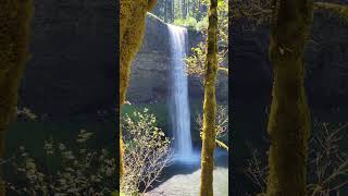 Beauty of NATURE