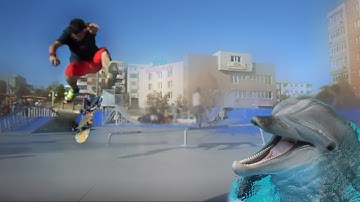 Forward flip/Dolphin flip