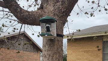 HARYMOR Bird Feeder with Camera