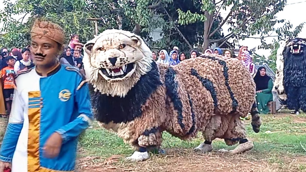 Seru!! Ini MACAN ba lakek diiringi DRUMBAND ba lakek salto salto, aduan sapi sapi an dan kambing