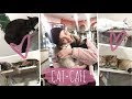 В ОКРУЖЕНИИ 40 КОШЕК ♡ CatCafe