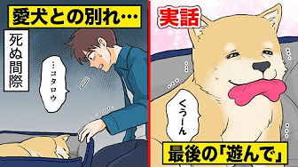 Nan Nan Back Undefined Skip Navigation Search Search Sign In Undefined Play All マンガ動画 238 Videos 36 Views Updated 2 Days Ago Show More 佐野みどり 佐野みどり Subscribe 1 5 13 Now Playing 実話 死ぬ間際で 遊んでほしい のサイン Nan Nan Back Undefined Skip Navigation Search Search Sign In Undefined Play All マンガ動画 238 Videos 36 Views Updated 2 Days Ago Show More 佐野みどり 佐野みどり Subscribe 1 5 13 Now Playing 実話 死ぬ間際で 遊んでほしい のサイン