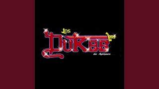 Video thumbnail of "Los Dukes De Apizaco - Tu Sueño Prohibido"
