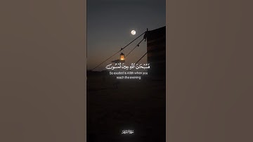 سورةالروم[16-17] الشيخ محمد الصديق #المنشاوي|فسبحن الله حـين تمسون 🌿💚 #القرآن_الكريم #follow