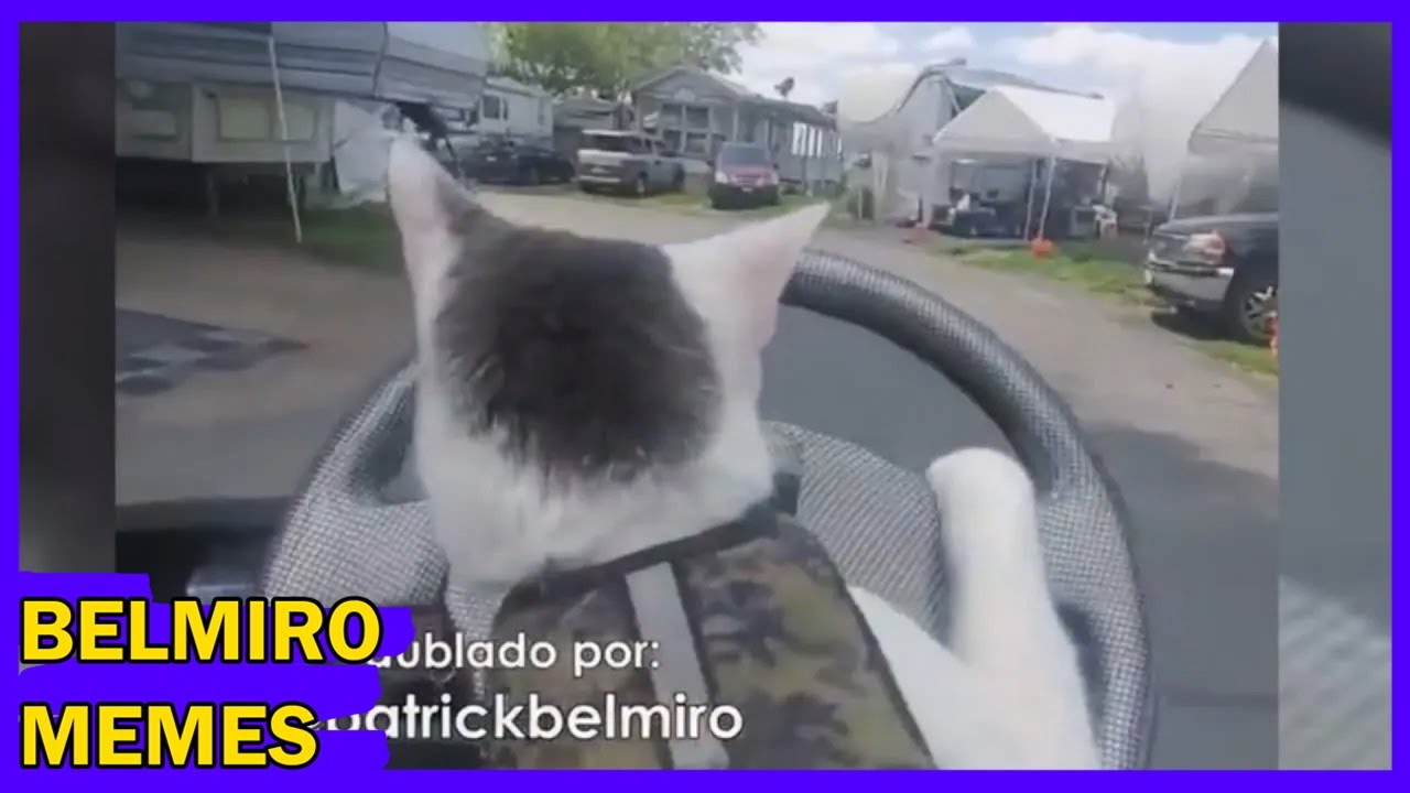 Belmiro Memes: Melhores dublagens engraçadas da semana 59