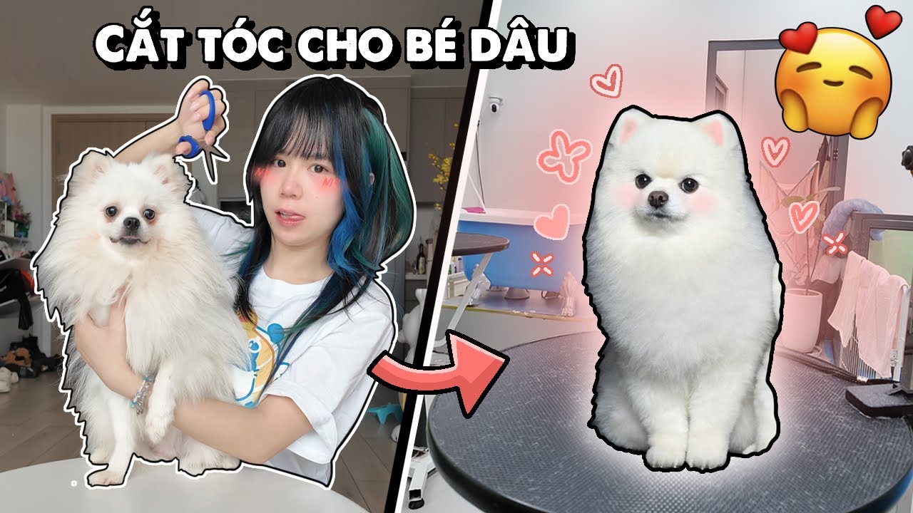 Simmy CẮT TÓC Mới Cho Bé Dâu 😍⁉️