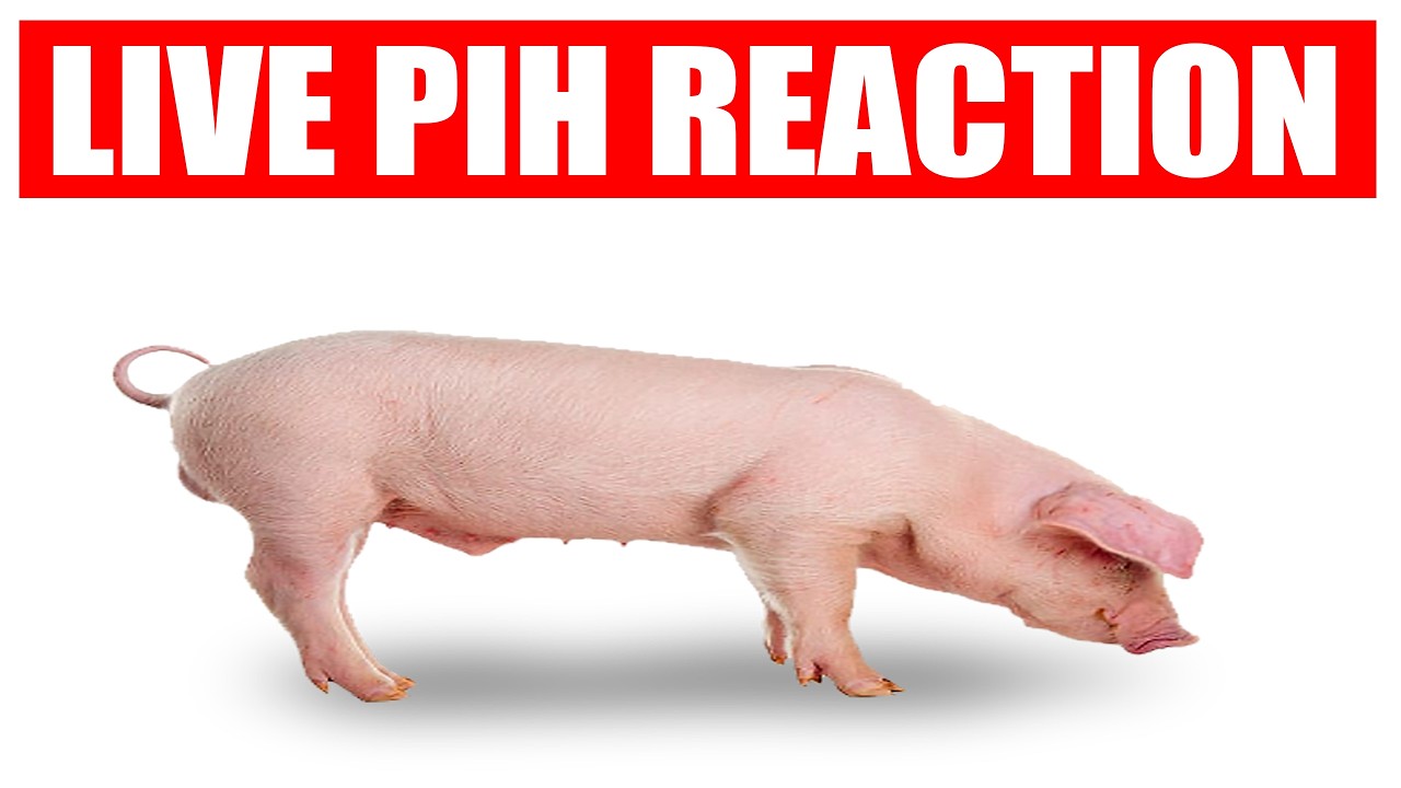 DJ and straw9599 fight with swords (IM SHORT AND DJs A CHUD)