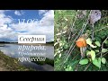 VLOG 1. Отпуск в деревне//Северная природа//Продвижение вязальных процессов