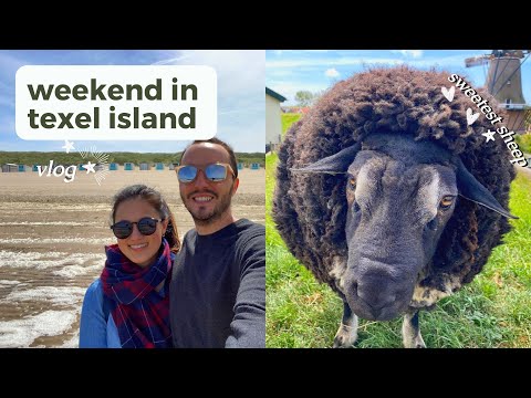 SUNNY WEEKEND IN TEXEL ISLAND 🐑 ☀️ | Netherlands summer travel vlog