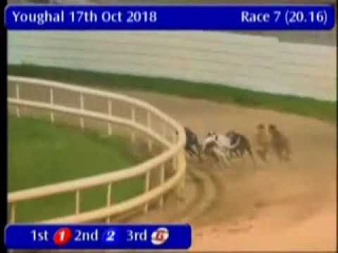 IGB - BET ON BARKING BUZZ  A1   17/10/2018 Race 7 - Youghal