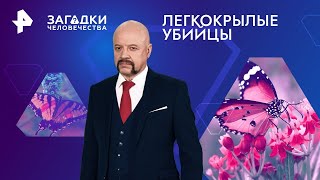 Легкокрылые убийцы — Загадки человечества | РЕН ТВ | 19.04.2024