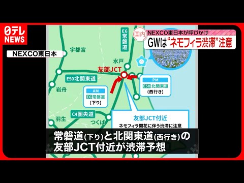 【ゴールデンウイーク】NEXCO東日本…“ネモフィラ渋滞”に注意呼びかけ