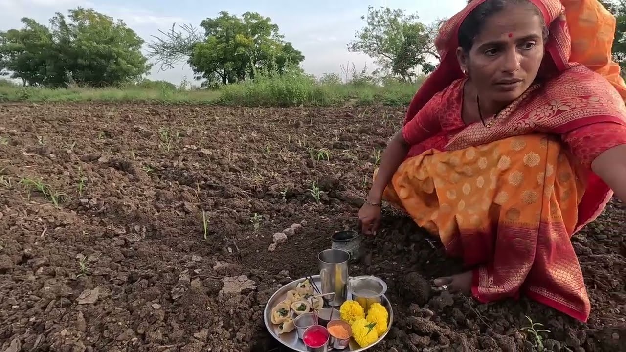 शेतात पांडव घातले