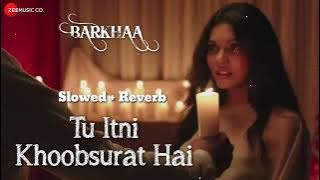 Tu Itni Khoobsurat Hai| Lofi Song| Barkhaa| Rahat Fateh Ali Khan. @zeemusiccompany