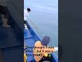 #shorts#fishing#ocean#animals#sea#viral#nature#explore
