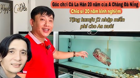 Xem nghệ nhân nuôi CÁ LA HÁN 20 năm ở ĐÀ NẴNG - Thái Salem vê lốc