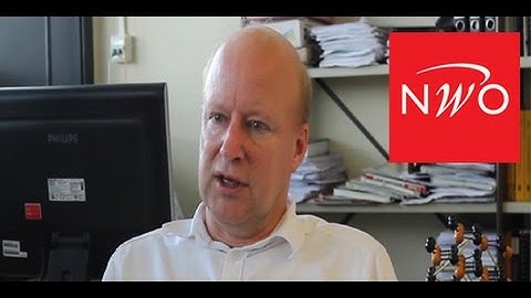 Bart van Wees, NWO-Spinozalaureaat  2016