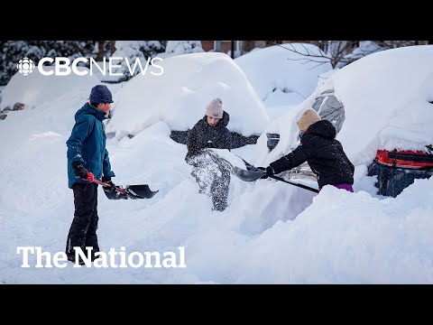 Kufri Latest Update | Heavy Snowfall Kufri #kufrilatestupdate #shimlasnowfall #kufrishimlasnowfall