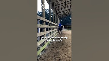 Quick Tips On How To Three Track Like A Pro! Part 6! | The Horse Guru - Michael Gascon