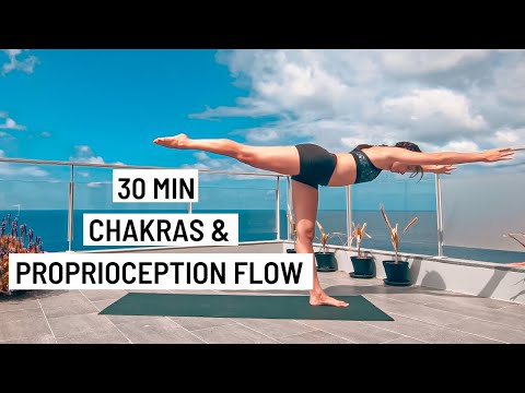 30 min Vinyasa ☀︎ CHAKRAS & PROPRIOCEPTION FLOW ☀︎ INES LAMOUR