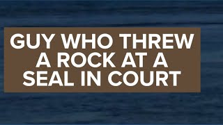 Covington man who allegedly threw a rock at an endangered seal appears in court