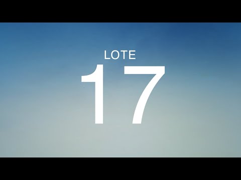 LOTE 17 - LCCF 715