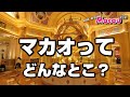 マカオの見所エリア別ガイド-カジノも世界遺産もリゾートも！【祝☆100本目】Walk around Macau 2021