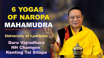 Six Yogas of Naropa and Mahamudra || HH Chamgon Kenting Tai Situpa || The Faculty of Arts, Ljubljana