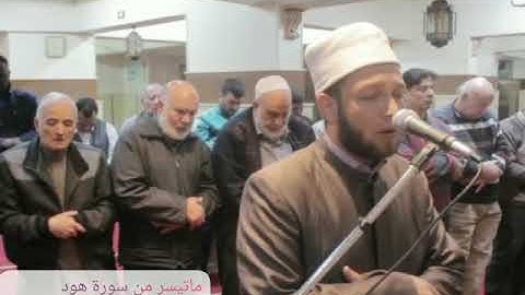 ما تيسر من سورة | هود | القارئ ايمن عبد الرحمن | تلاوة خاشعة