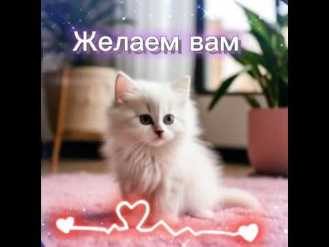Милые пожелания здоровья, счастья, любви, благополучия. #пожелания #котики #милота