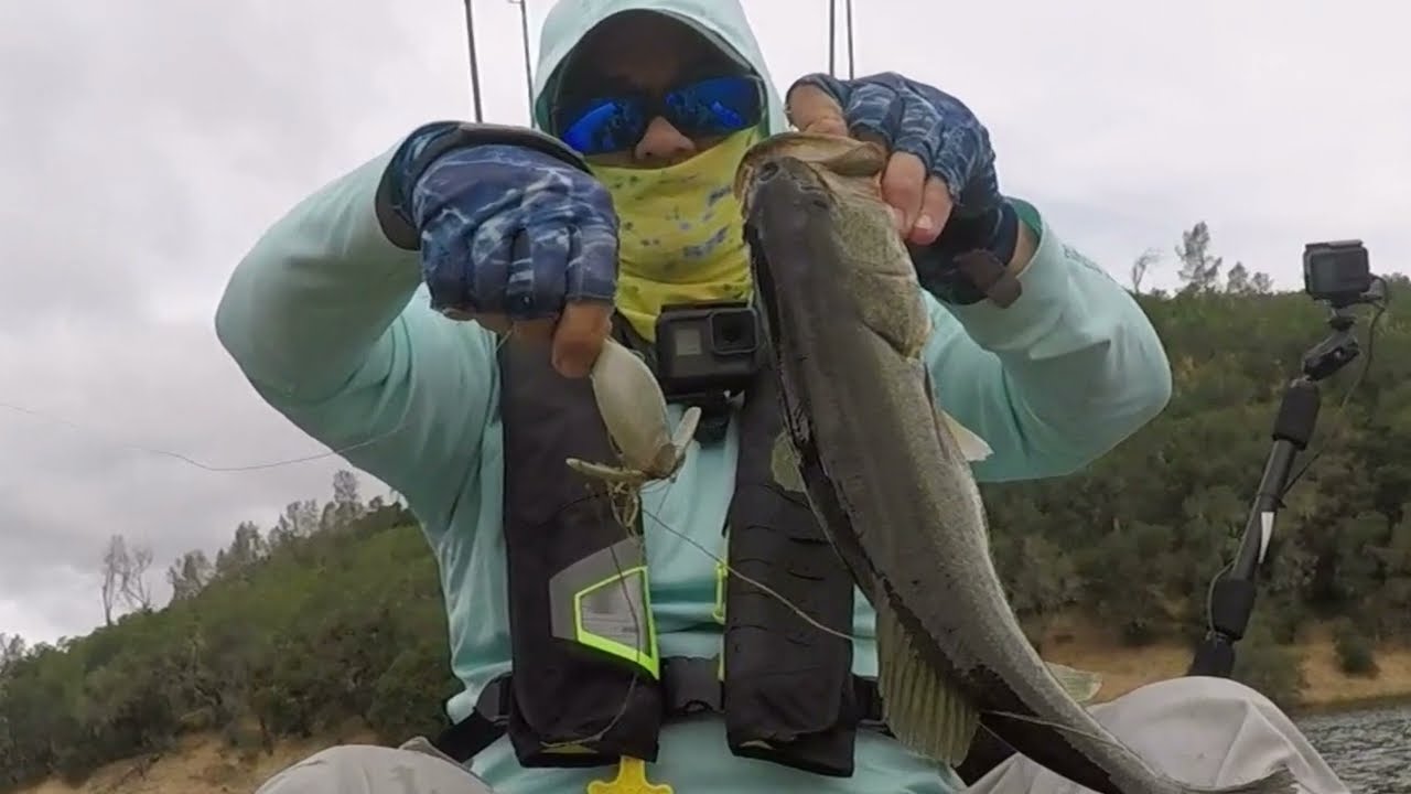 Hobie Lynx windy summer bass fishing ￼