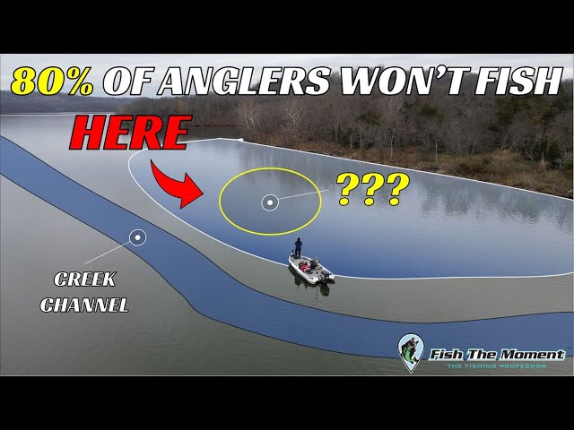 Don't Miss This Overlooked Winter Bass Fishing Pattern 