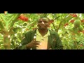 Smart farm tree tomato