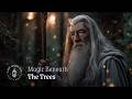 Through the Woods of Middle-earth | LOTR Ambience