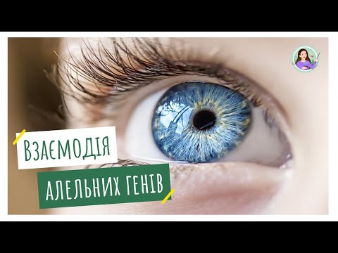 Взаємодія алельних генів