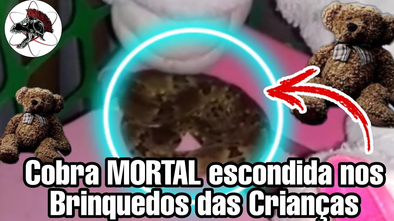 Cobra no Brinquedo das Crianças | Biólogo Henrique o Biólogo das Cobras