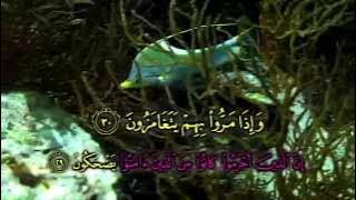 Juz Amma Recitation by Ahmad Saud - Karaoke